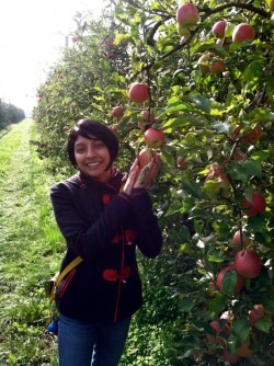 Italy apples