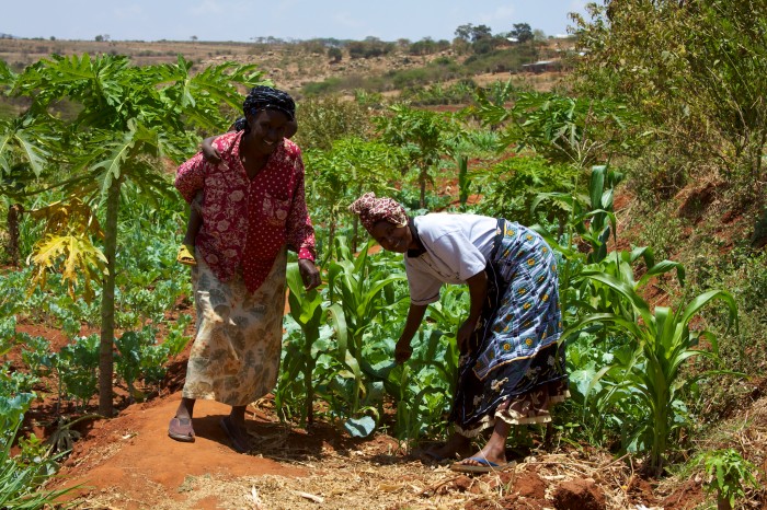 Women from the Mbini Self-Help Group showing off the fields